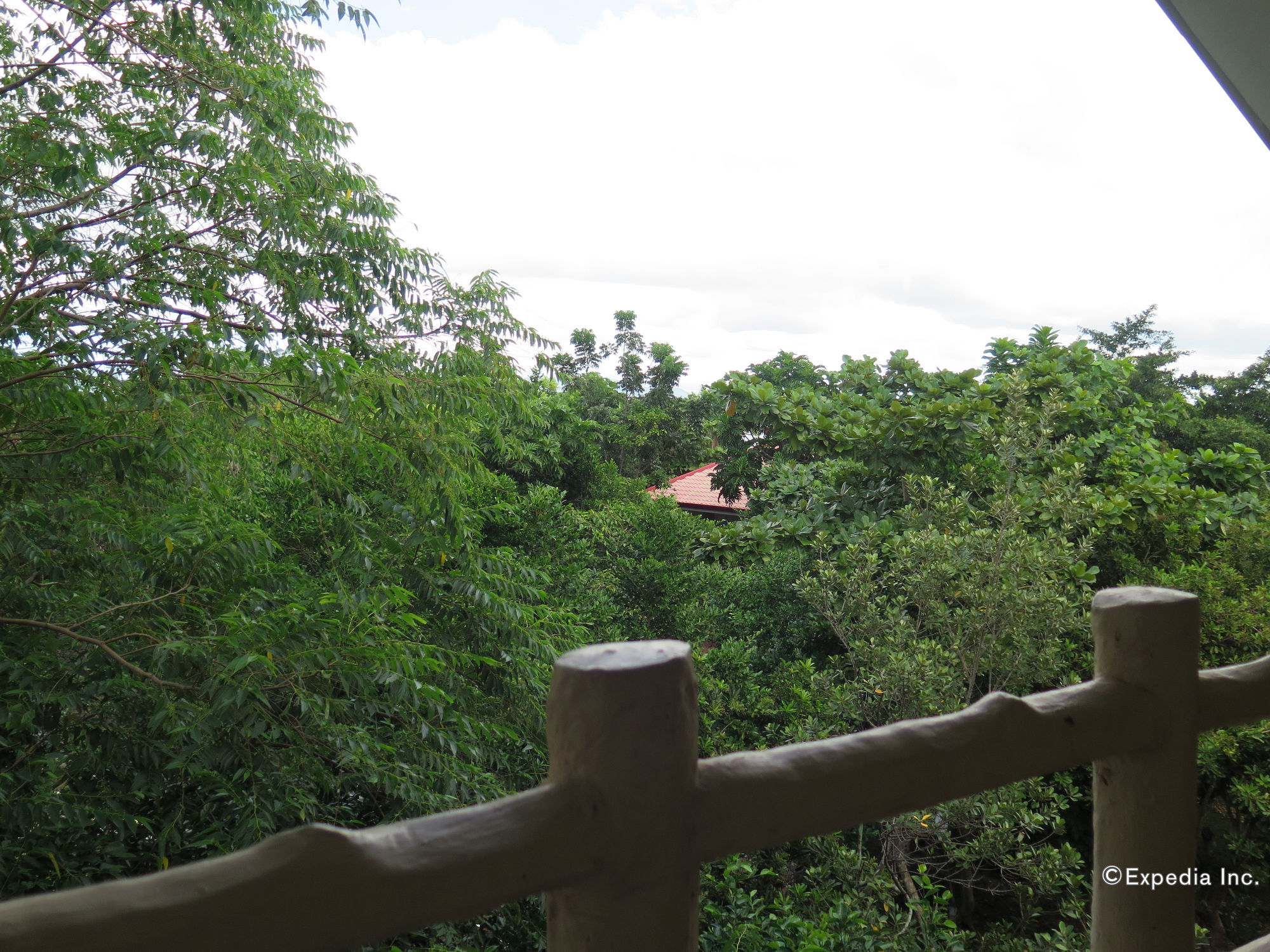 Alexis Cliff Dive Resort Panglao Luaran gambar