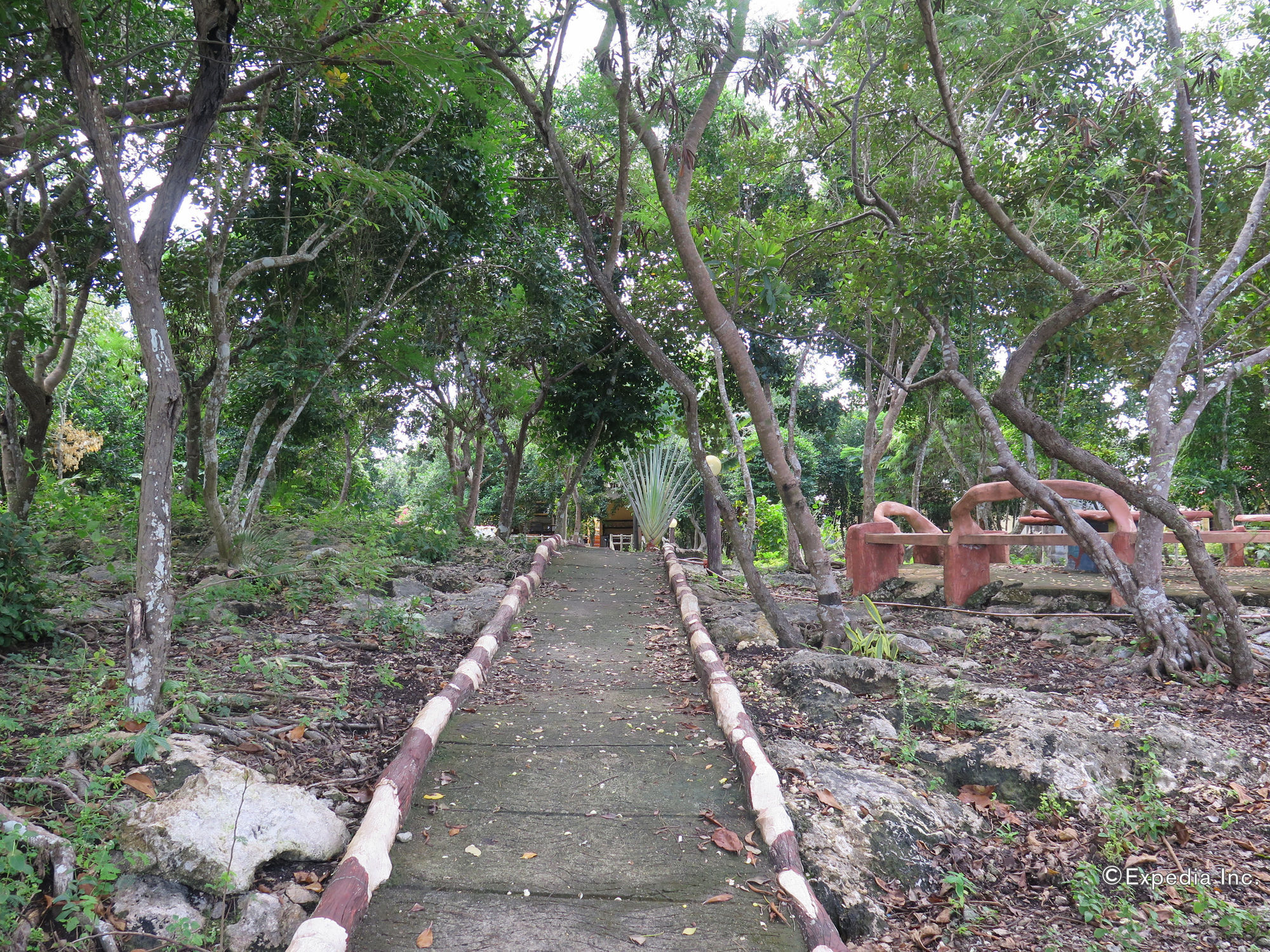 Alexis Cliff Dive Resort Panglao Luaran gambar
